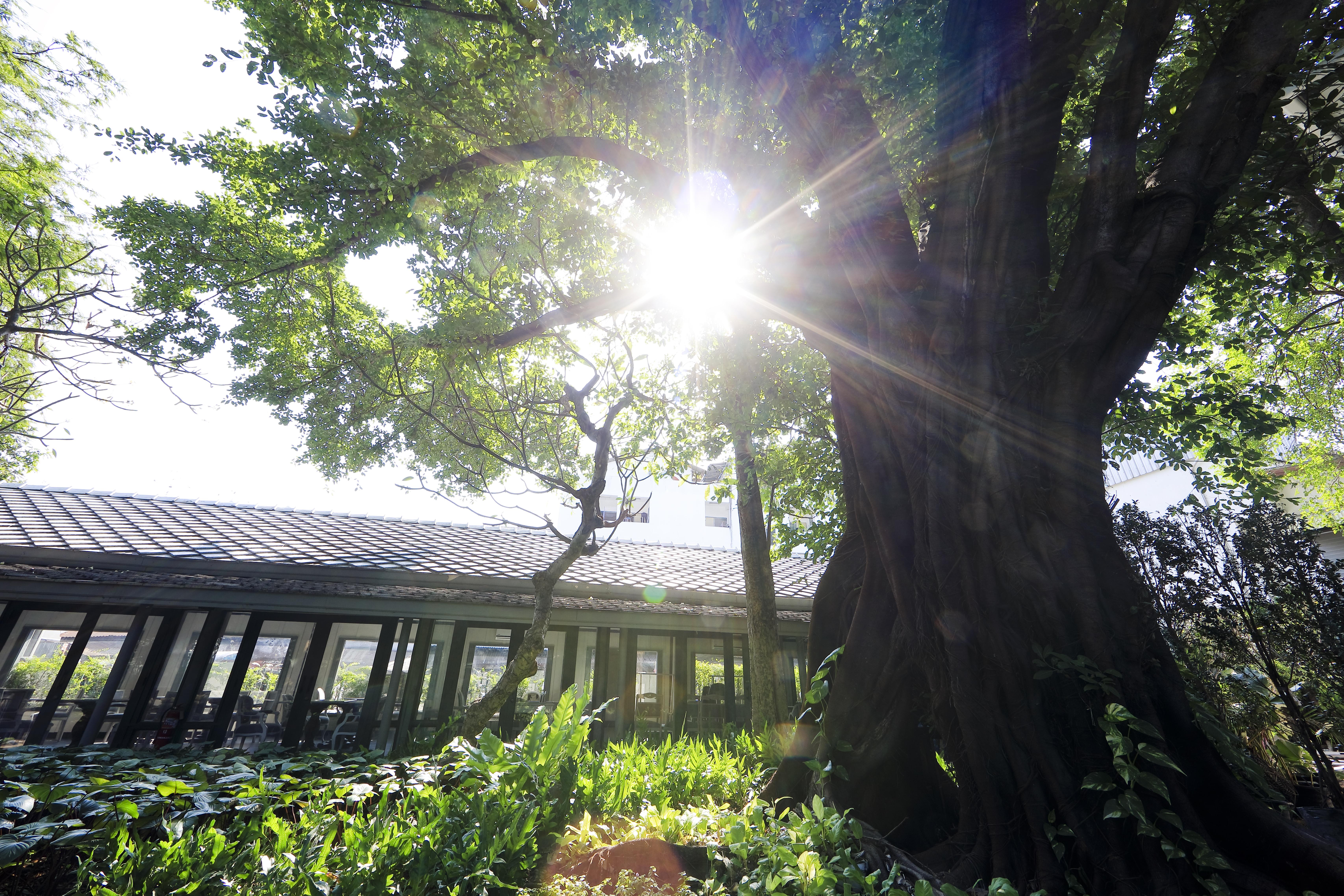 The Raweekanlaya Bangkok Exterior foto The greenhouse at the University of Washington Botanic Garden